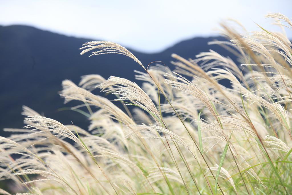 Fuga (adults Only) 傳統日式旅館 Hakone